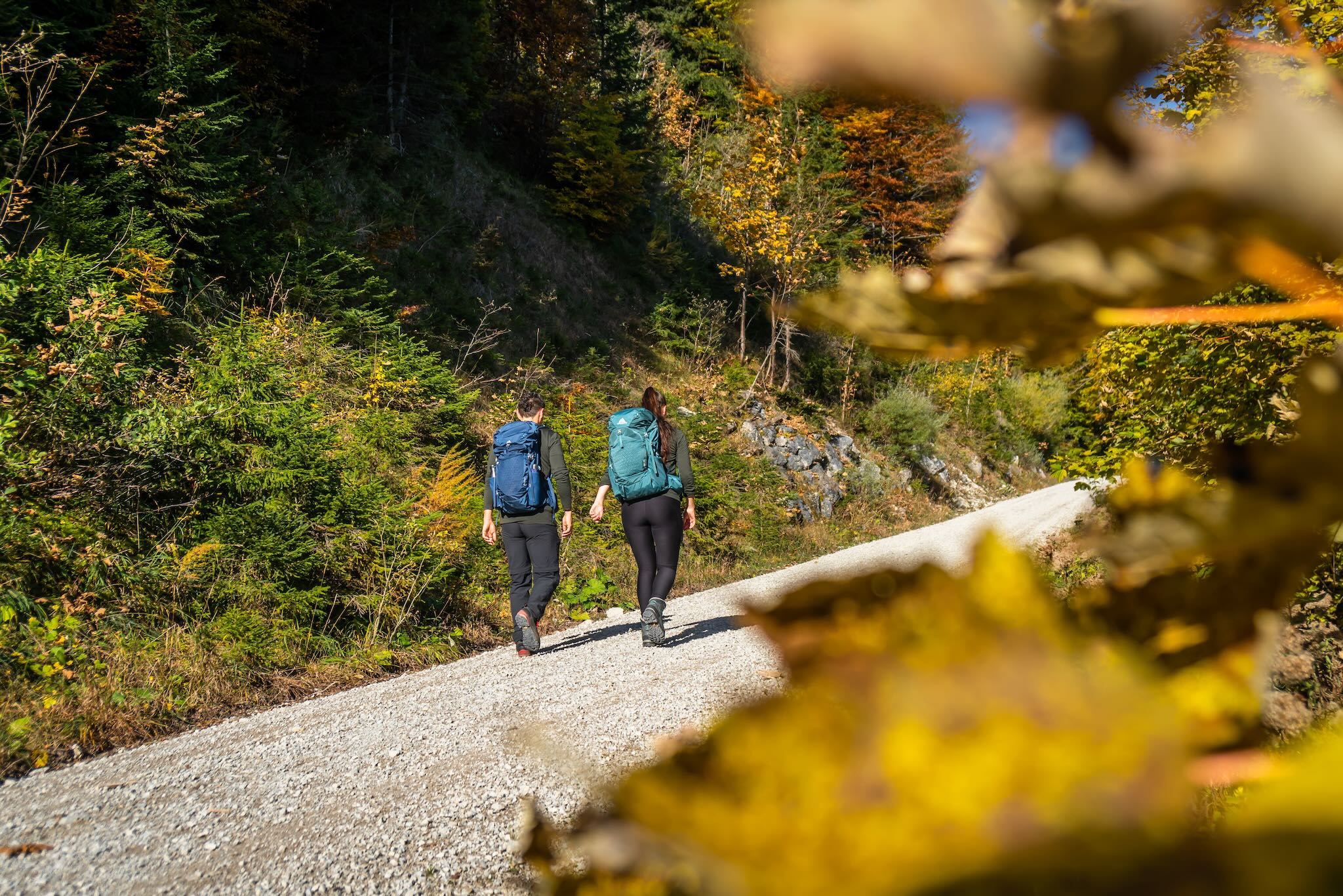 Herbstfarben Herbstfarben © Gipfelfieber